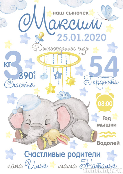 Метрика №43 со слонёнком